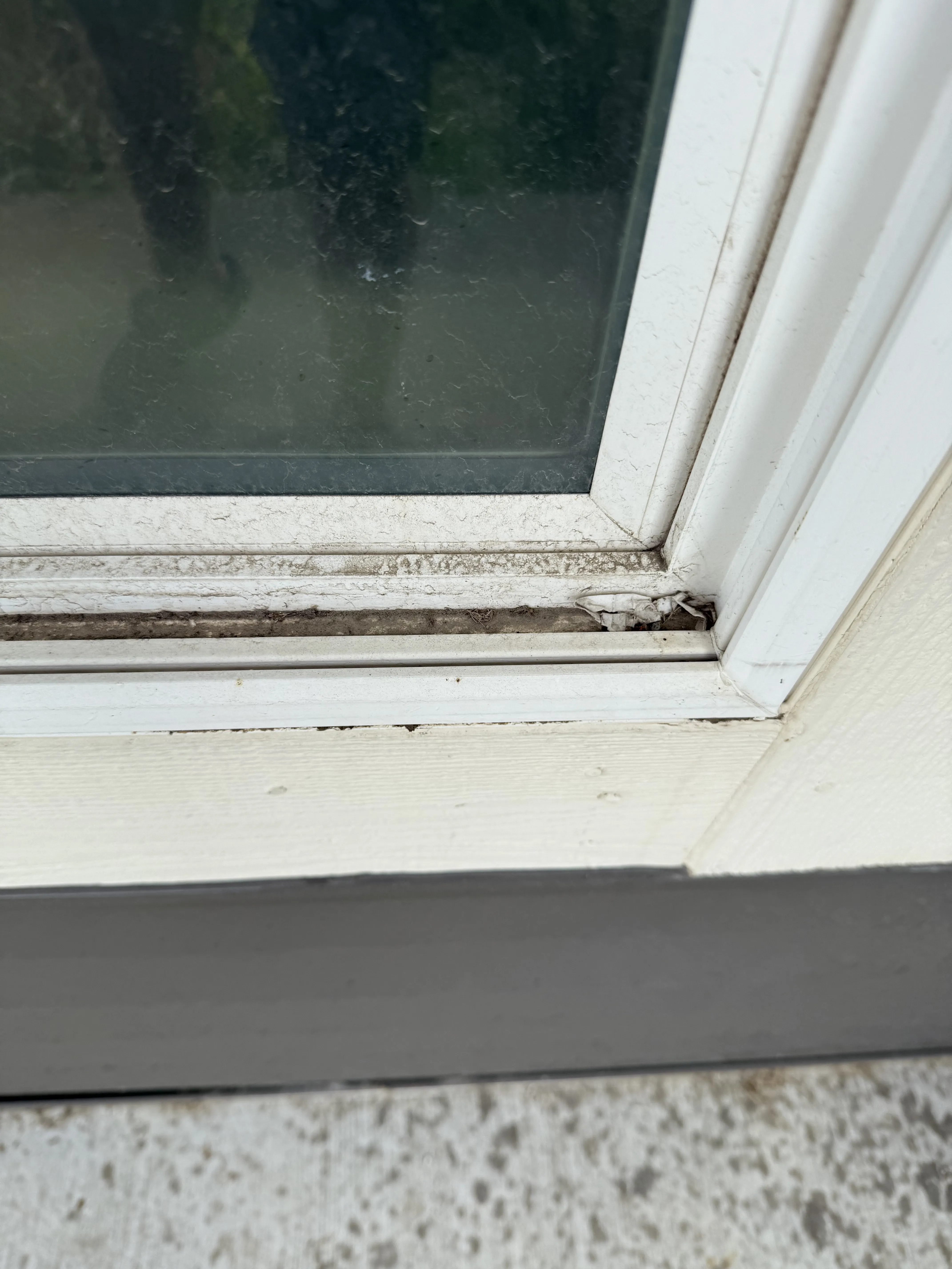 Before window cleaning